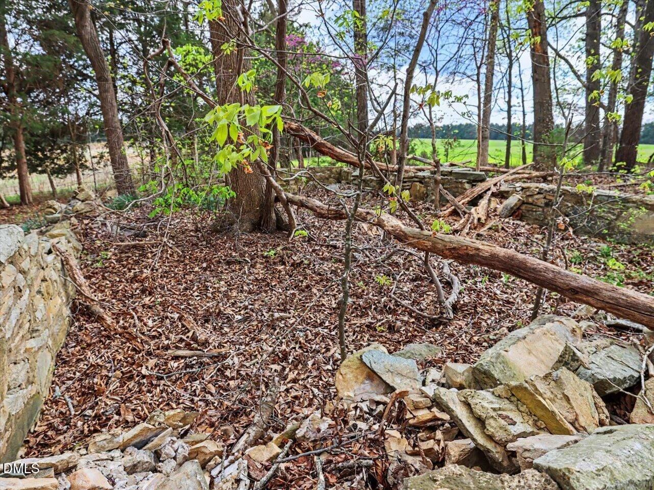 7793 Ridgeville Road Leasburg, NC 27291 - Photo 81 of 91
