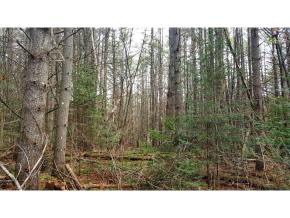 0 Georgeville Road Lisbon, NH 03585 - Photo 29 of 32 Gallery Image 29