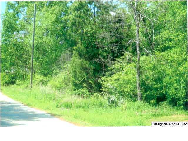 Blue Springs Road, Unit 1 2 Cropwell, AL 35054 - Photo 1 of 2