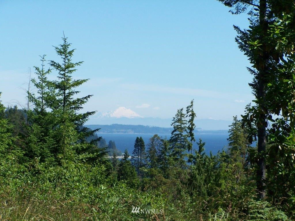 18 East Go Onna Road Quilcene, WA 98376 - Photo 1 of 4 Gallery Image 1