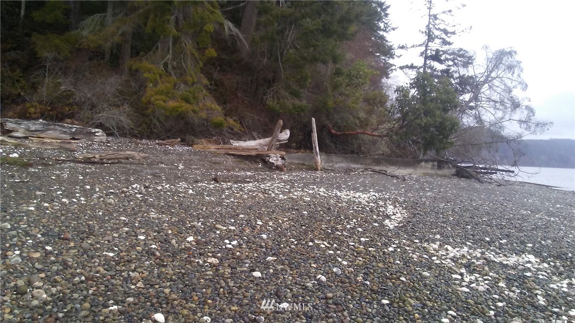 18 East Go Onna Road Quilcene, WA 98376 - Photo 3 of 4 Gallery Image 3
