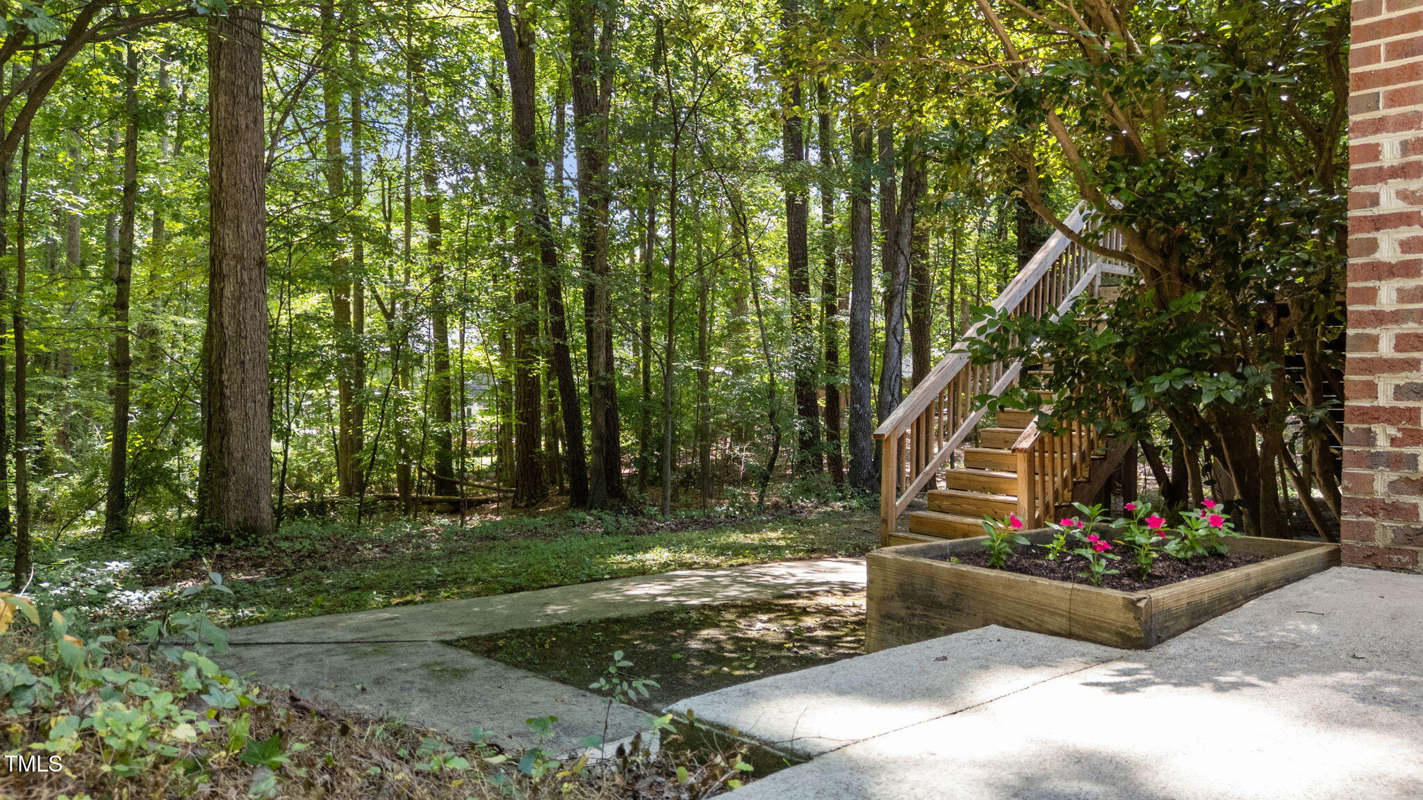 4319 Sprague Road Raleigh, NC 27613 - Photo 9 of 45 Backyard from driveway