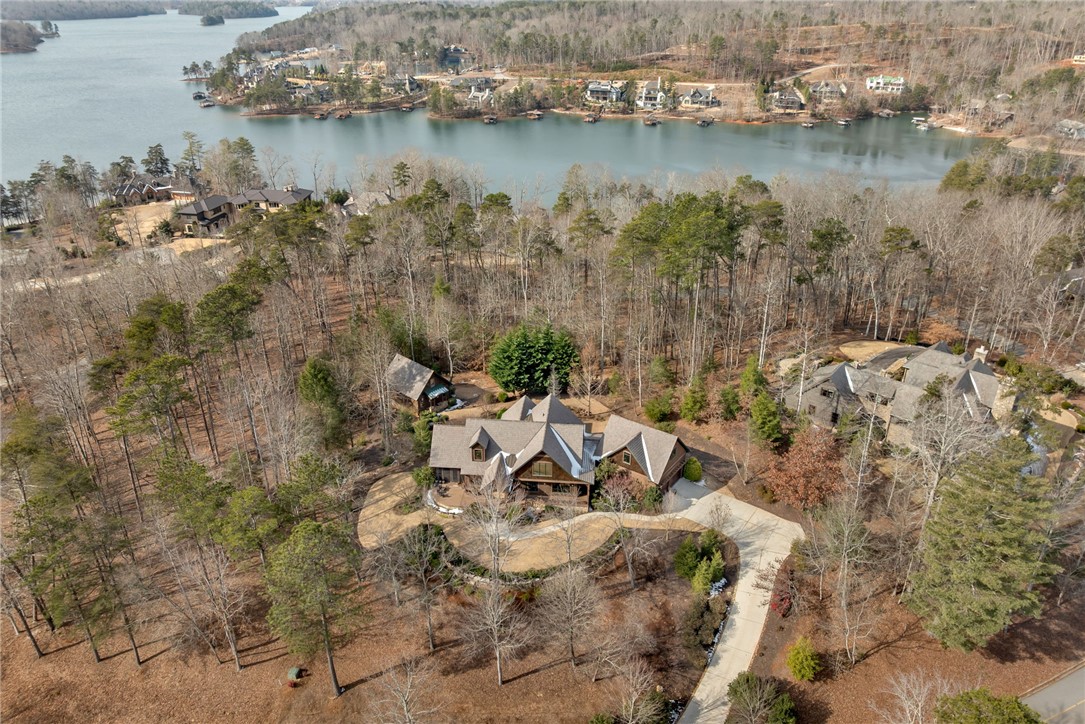 511 Palmer Way Sunset, SC 29685 - Photo 50 of 50 Aerial view of property with Main House and Guest House