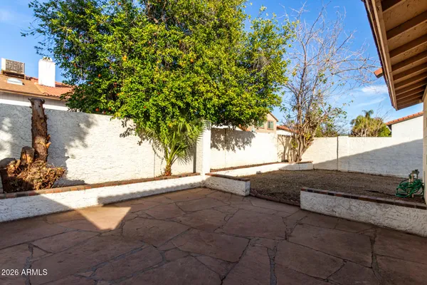 a view of backyard and tree