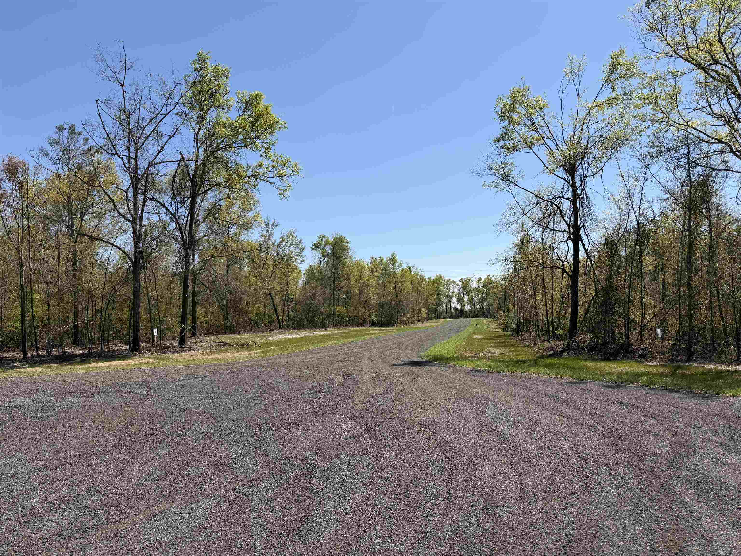 2 Highway 90 Holt, FL 32564 - Photo 3 of 24