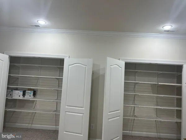 a bathroom with a shower and a toilet