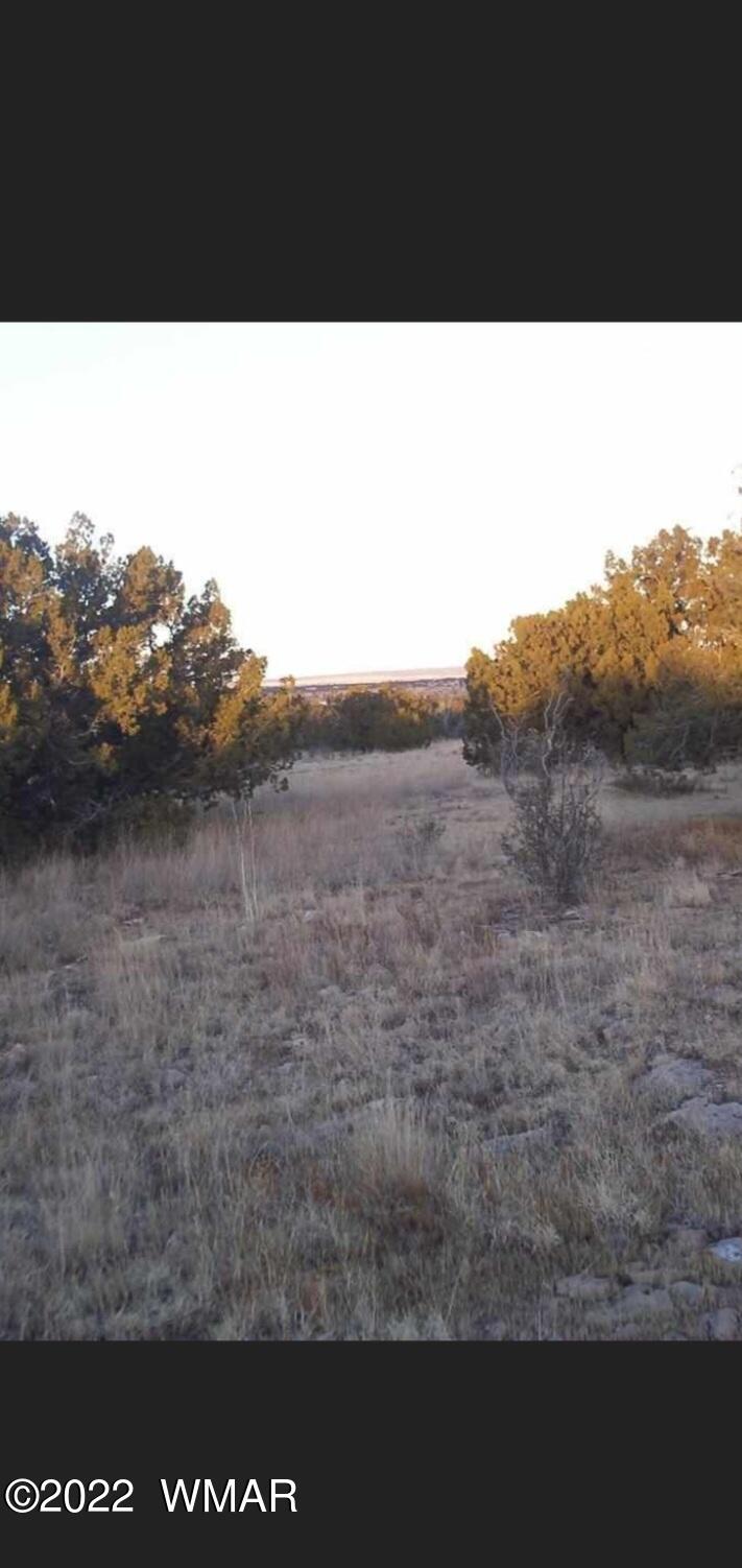 5018 Sidlyn Road Heber, AZ 85928 - Photo 2 of 2