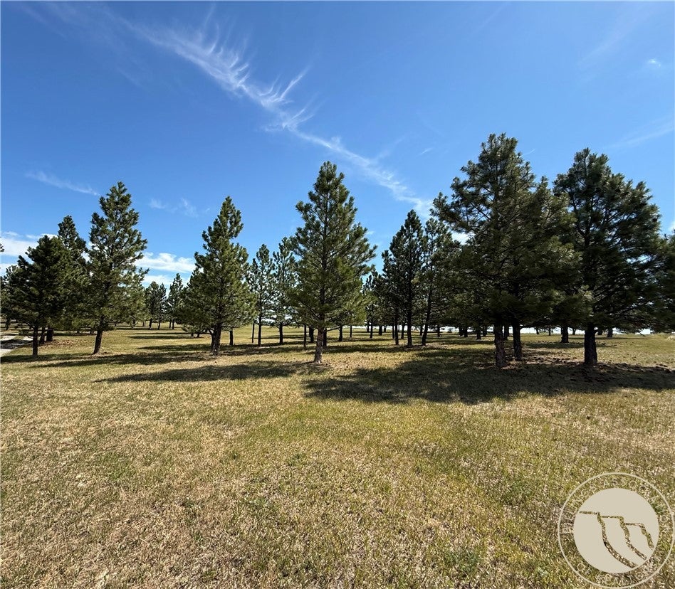 422 Shane Ridge Road Columbus, MT 59019 - Photo 31 of 37 Gallery Image 31