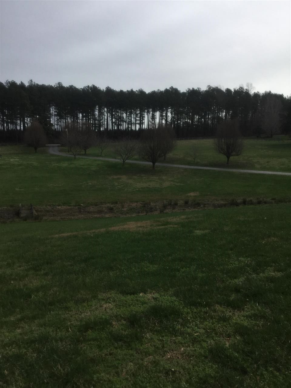 9919 Quail Roost Road Bahama, NC 27503 - Photo 14 of 25 Field in back of property