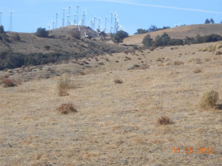 10385 Cameron Canyon Road Mojave, CA 93501 - Photo 14 of 22 Gallery Image 14