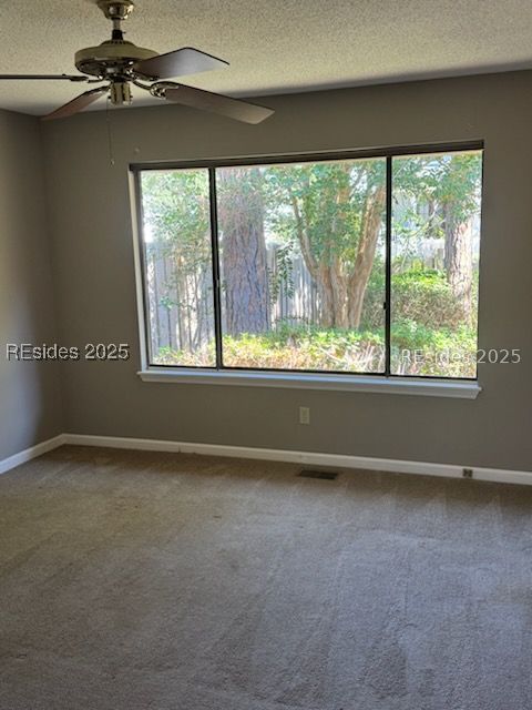 20 Fairway Winds Place Hilton Head Island, SC 29928 - Photo 19 of 29