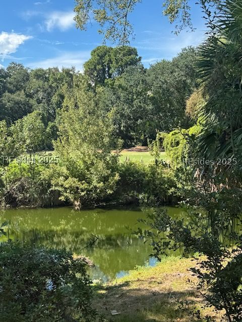 20 Fairway Winds Place Hilton Head Island, SC 29928 - Photo 29 of 29