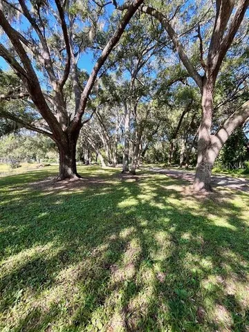 a view of outdoor space with trees all around