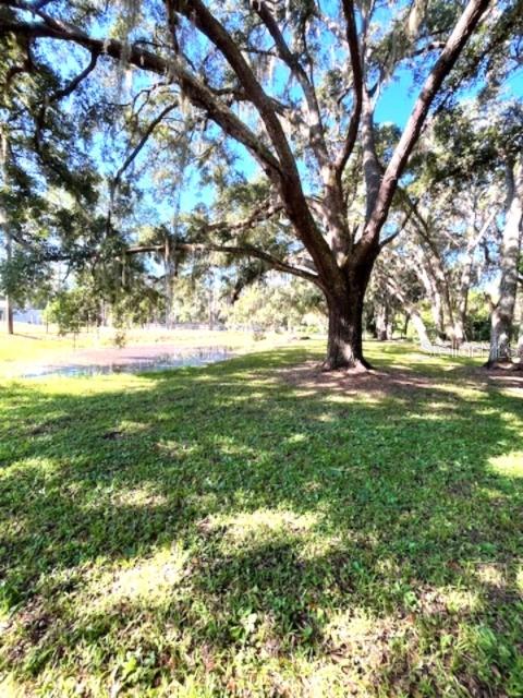 207 Ketch Road St. Cloud, FL 34771 - Photo 17 of 18 a view of yard with green space