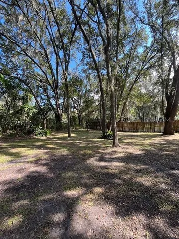 a view of dirt yard with a large tree