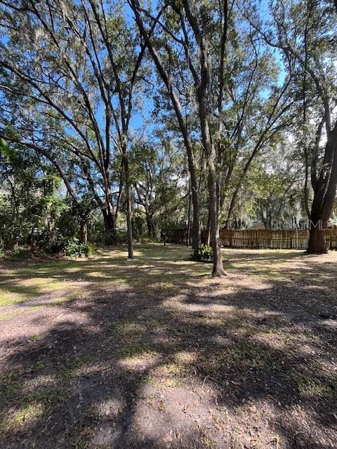 207 Ketch Road St. Cloud, FL 34771 - Photo 18 of 18 a view of dirt yard with a large tree