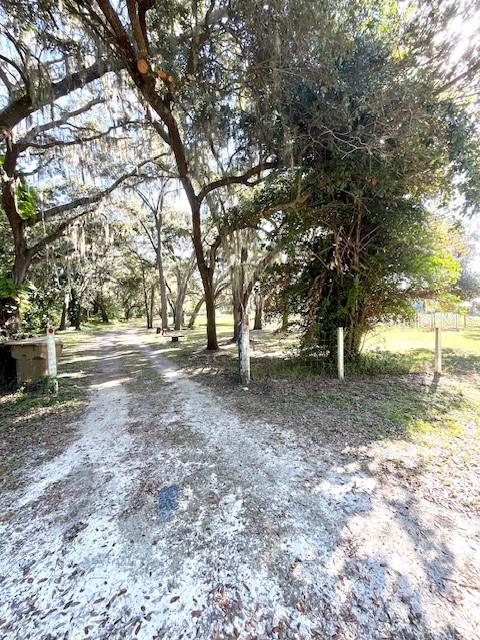 207 Ketch Road St. Cloud, FL 34771 - Photo 6 of 18 a view of outdoor space with trees