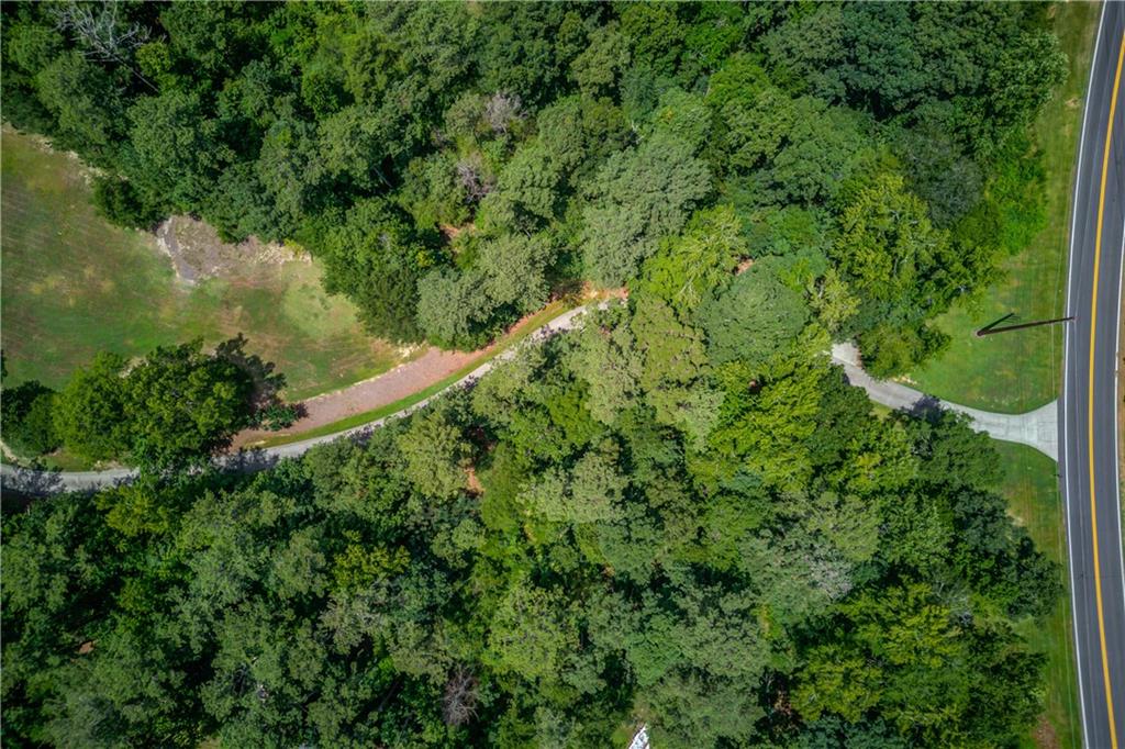 1345 Chandler Road Lawrenceville, GA 30045 - Photo 78 of 97 an aerial view of residential house with outdoor space and trees all around