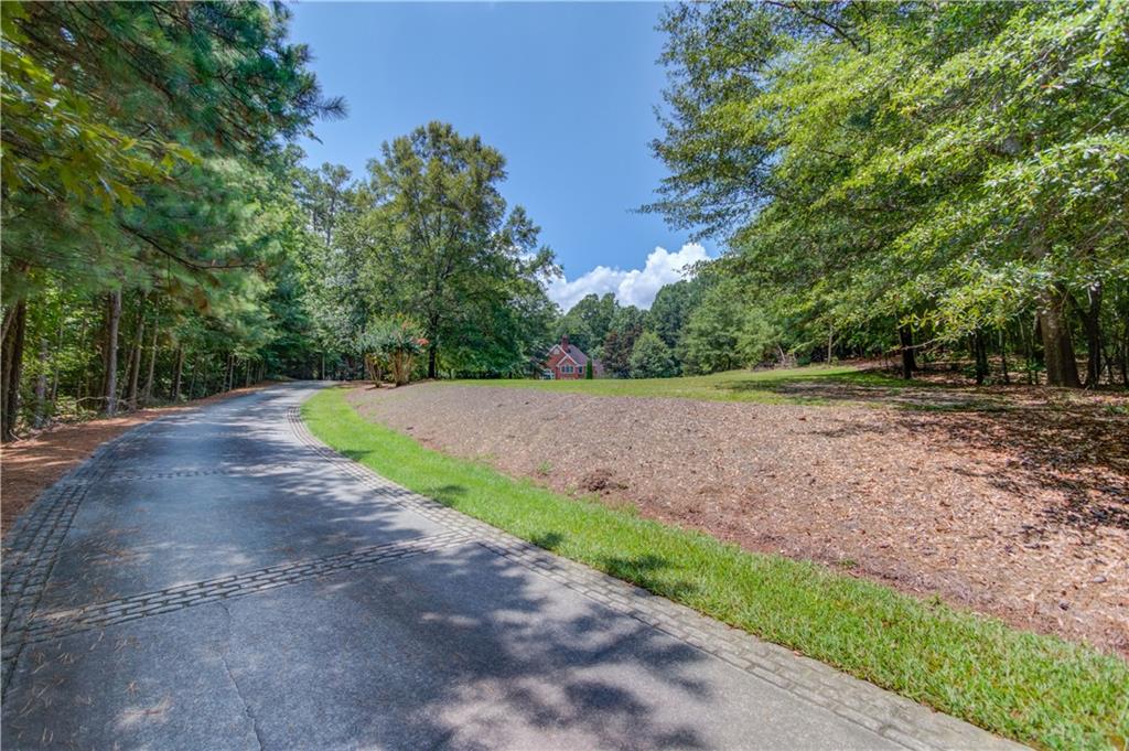 1345 Chandler Road Lawrenceville, GA 30045 - Photo 79 of 97 a view of a yard with plants and trees