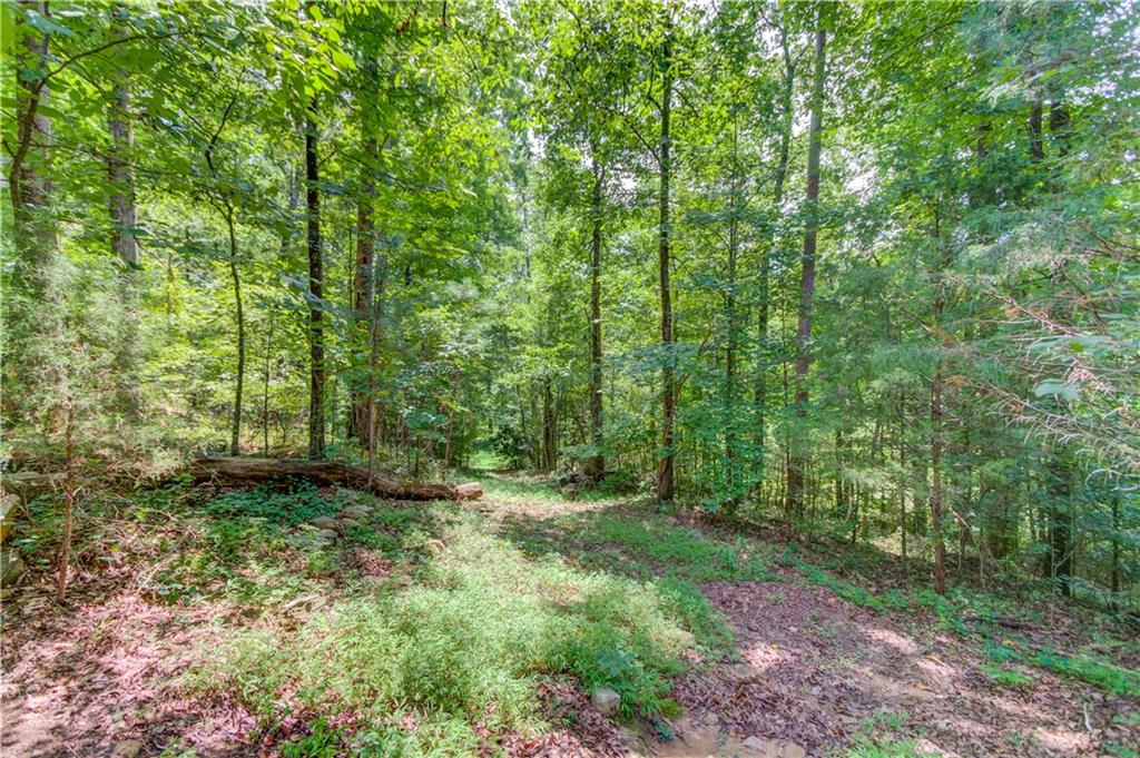 1345 Chandler Road Lawrenceville, GA 30045 - Photo 82 of 97