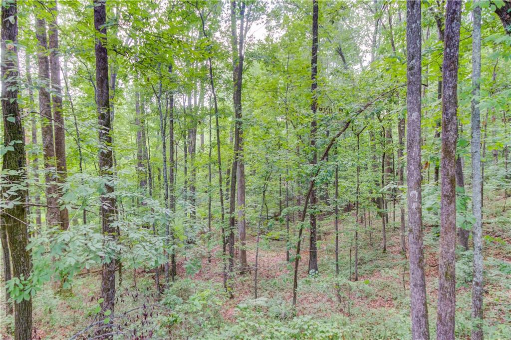 1345 Chandler Road Lawrenceville, GA 30045 - Photo 83 of 97