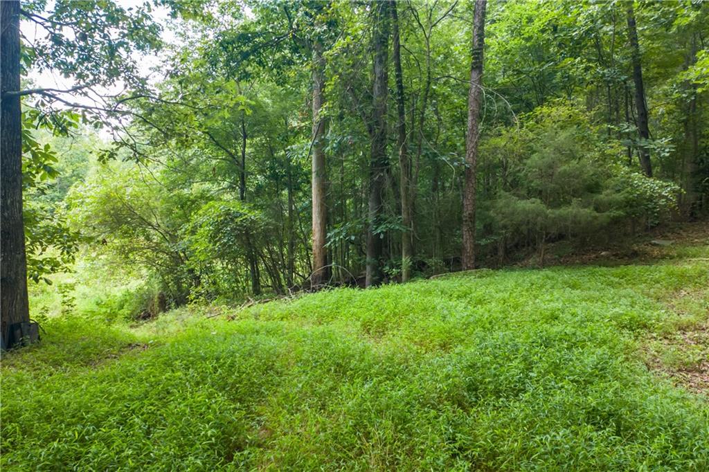 1345 Chandler Road Lawrenceville, GA 30045 - Photo 86 of 97 a view of lush green forest