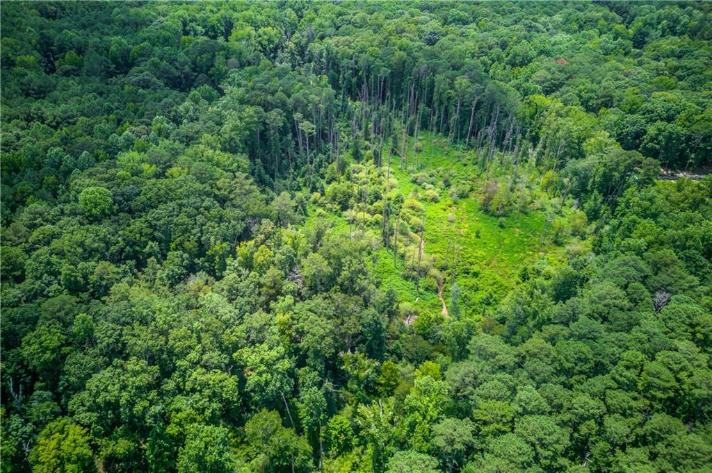 1345 Chandler Road Lawrenceville, GA 30045 - Photo 87 of 97 a view of a lush green forest