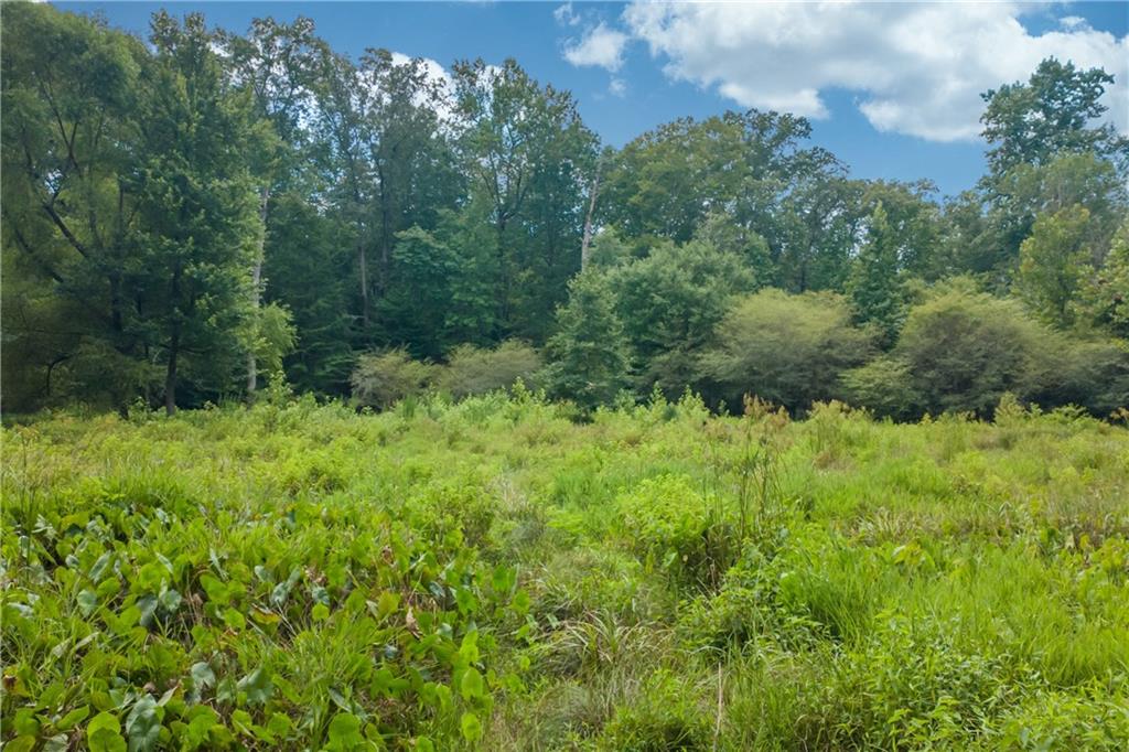1345 Chandler Road Lawrenceville, GA 30045 - Photo 89 of 97 a view of a lush green forest with trees and houses