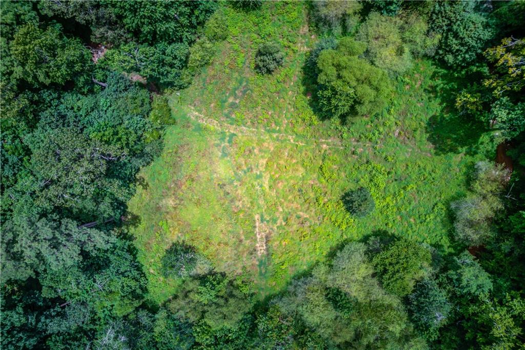 1345 Chandler Road Lawrenceville, GA 30045 - Photo 90 of 97 a view of a lush green forest
