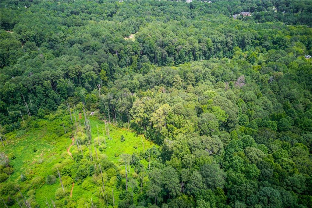 1345 Chandler Road Lawrenceville, GA 30045 - Photo 92 of 97