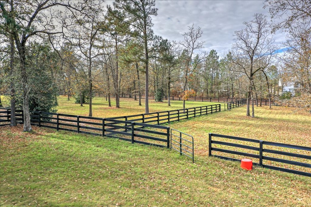 120 Honey Ridge Lane Aiken, SC 29801 - Photo 6 of 43