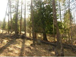 4 Kiebert Loop Hope, ID 83836 - Photo 3 of 4