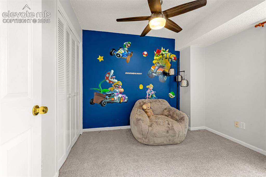 313 Raspberry Lane Monument, CO 80132 - Photo 20 of 26