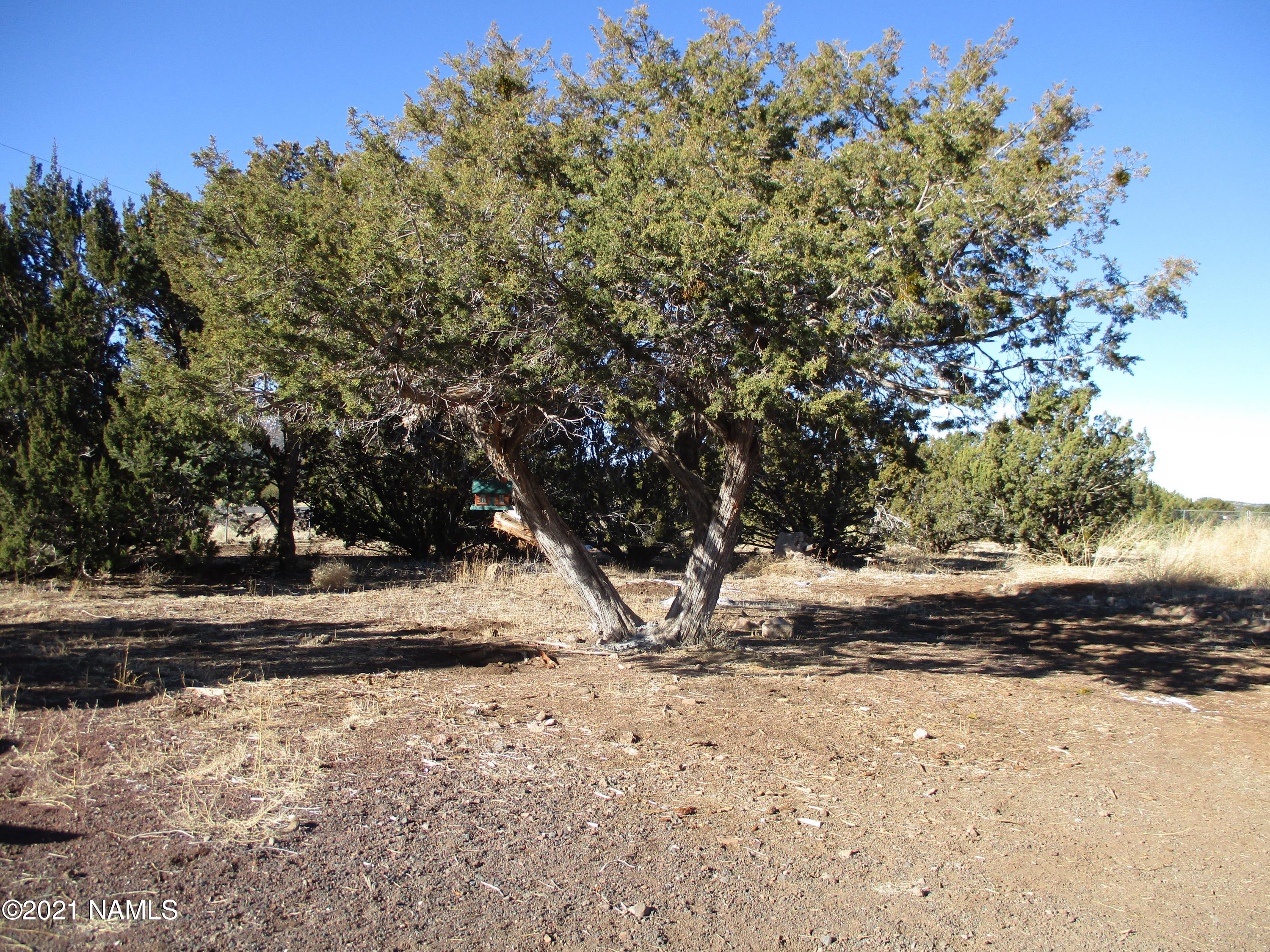 2857 Hoctor Road Williams, AZ 86046 - Photo 11 of 15 IMG_0857