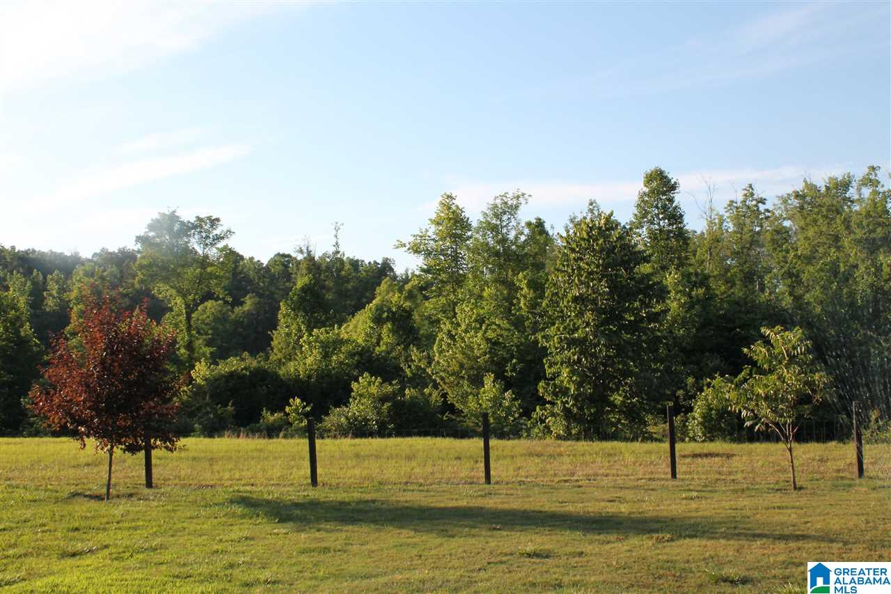 153 Ranch Road Jacksonville, AL 36265 - Photo 18 of 28