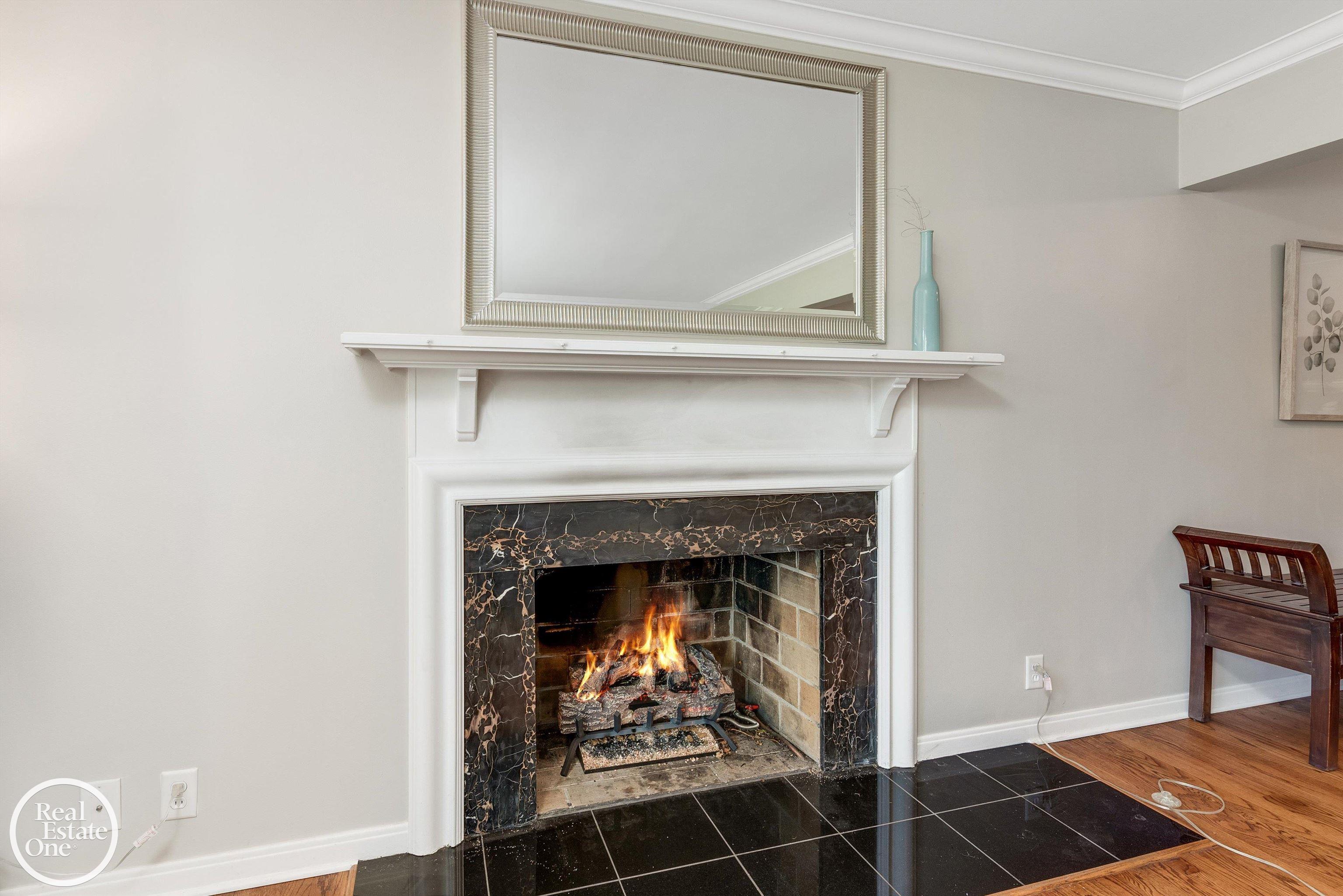 1088 Torrey Road Grosse Pointe, MI 48236 - Photo 6 of 50 Fireplace
