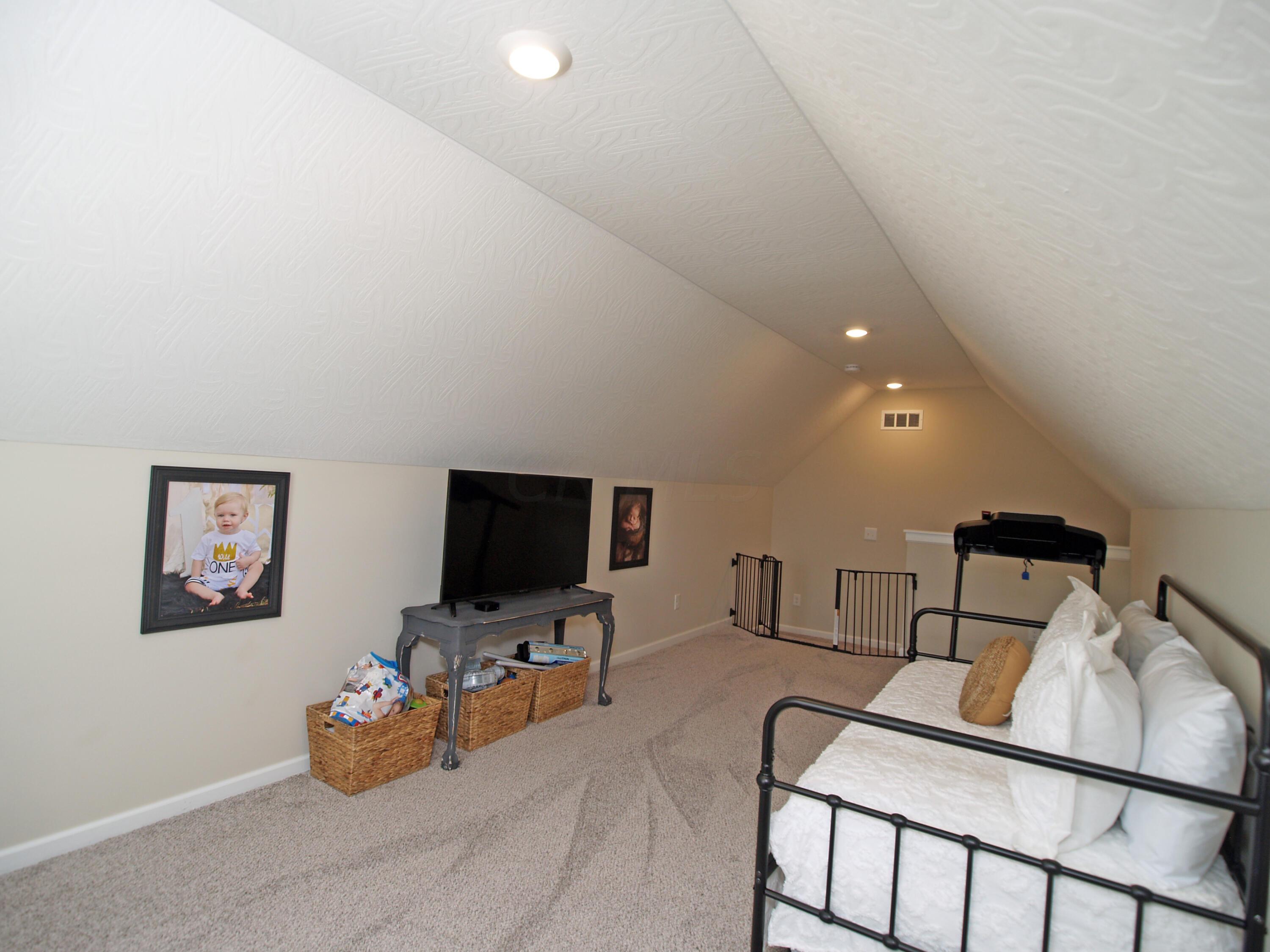 315 Blue Ridge Ostrander, OH 43061 - Photo 38 of 47 Bonus Room