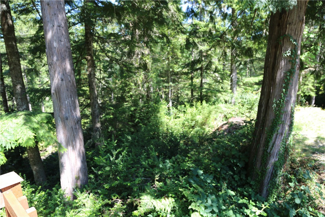 15085 Northwest Hite Center Road Seabeck, WA 98380 - Photo 8 of 21 Gallery Image 8