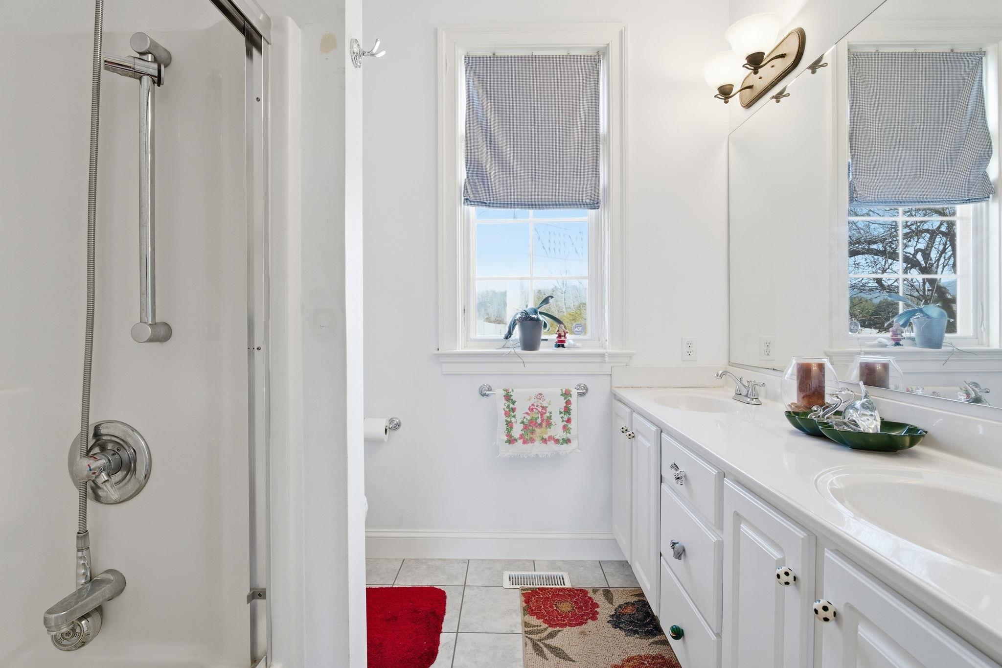 436 Chimney Rock Road Earlysville, VA 22936 - Photo 41 of 61 a bathroom with a sink vanity and a mirror