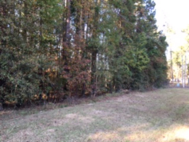 7554 Raccoon Road Manning, SC 29102 - Photo 1 of 1