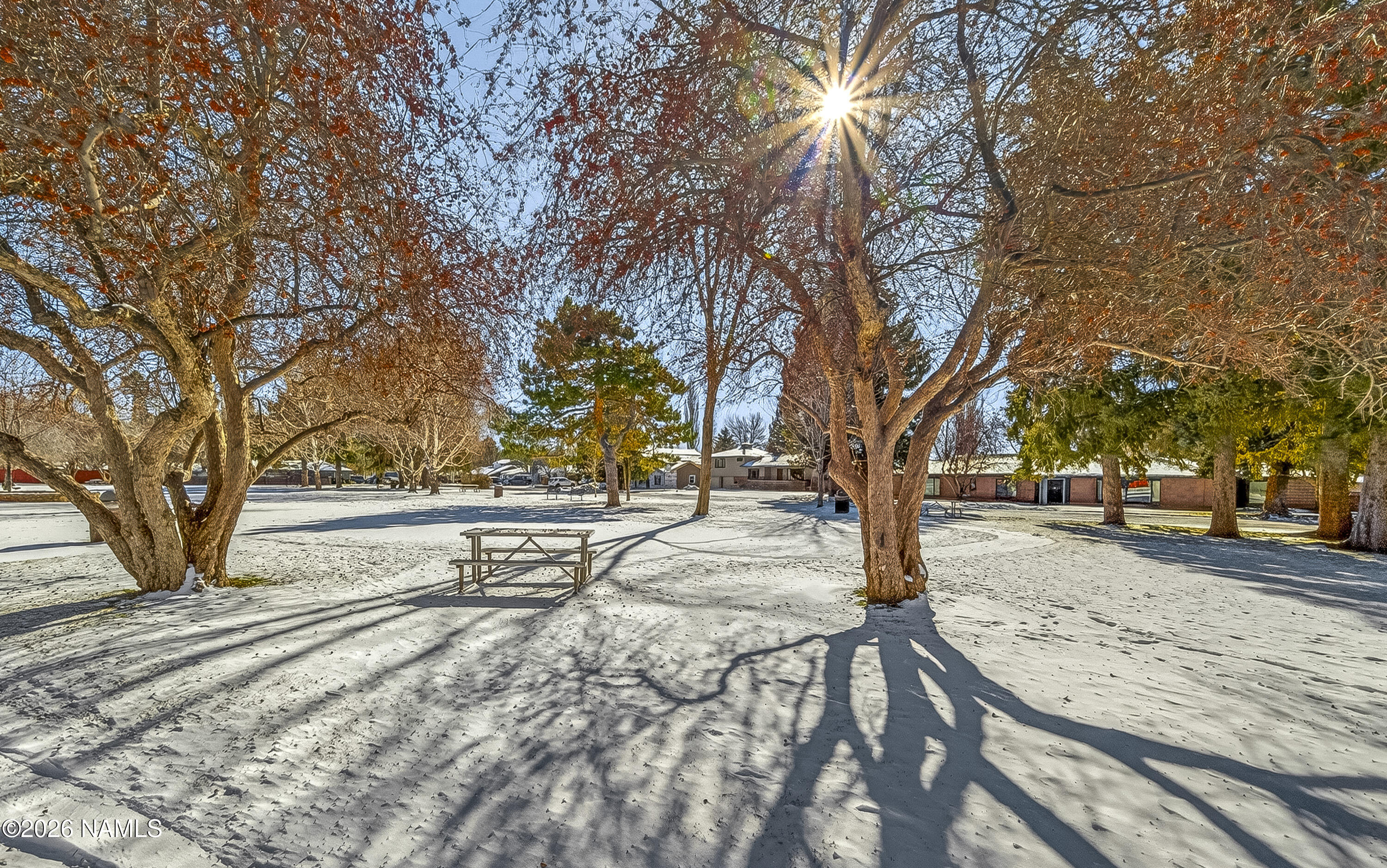 610 West Piute Road Flagstaff, AZ 86001 - Photo 29 of 29 Tree Park