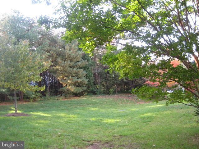 5809 Clapham Road Alexandria, VA 22315 - Photo 20 of 30 Community
