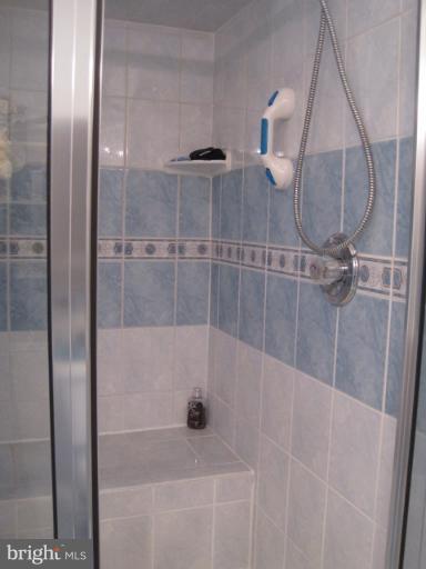 5809 Clapham Road Alexandria, VA 22315 - Photo 29 of 30 Bath (Master)