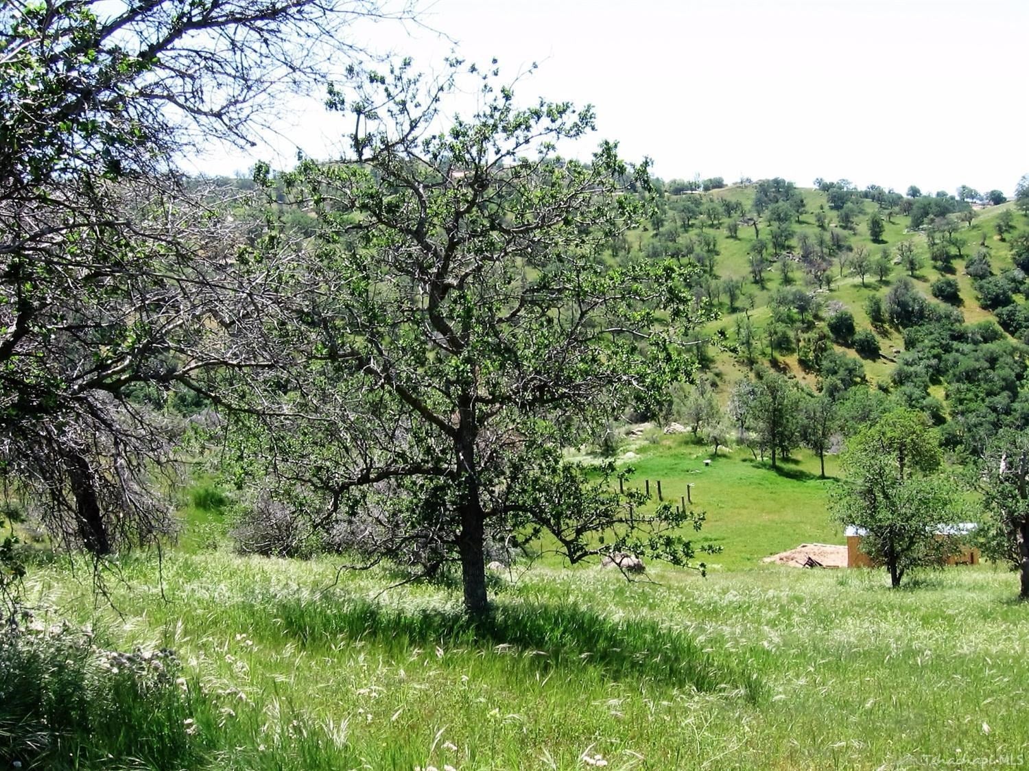 30650 Condor Place Tehachapi, CA 93561 - Photo 4 of 14 Gallery Image 4