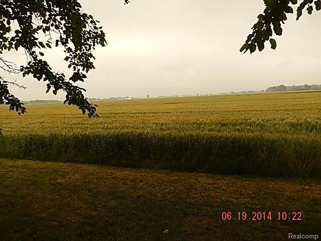 5594 Labo Road South Rockwood, MI 48179 - Photo 5 of 18 009.jpg