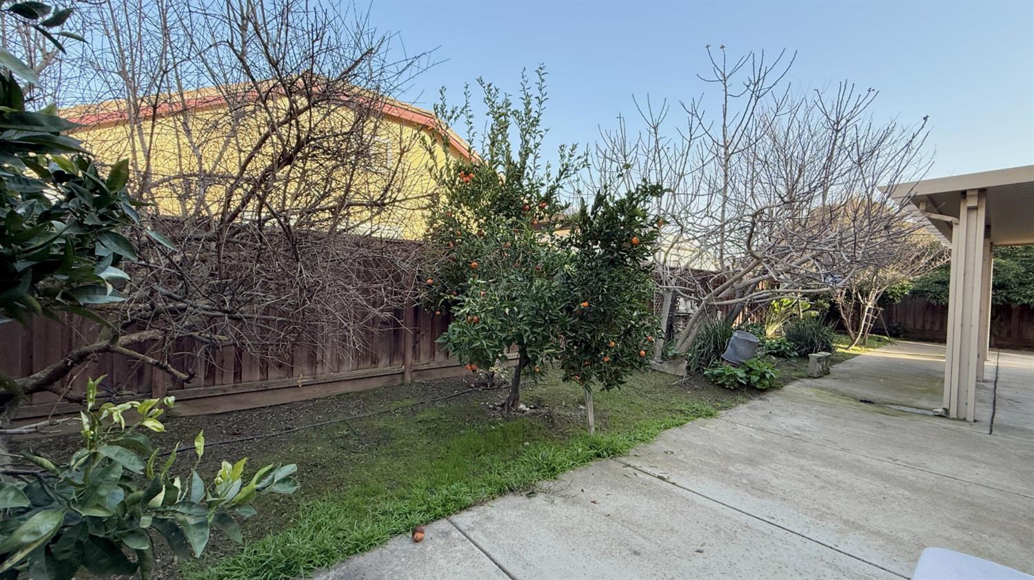 16206 Sand Bar Way Lathrop, CA 95330 - Photo 31 of 32 a view of backyard with green space