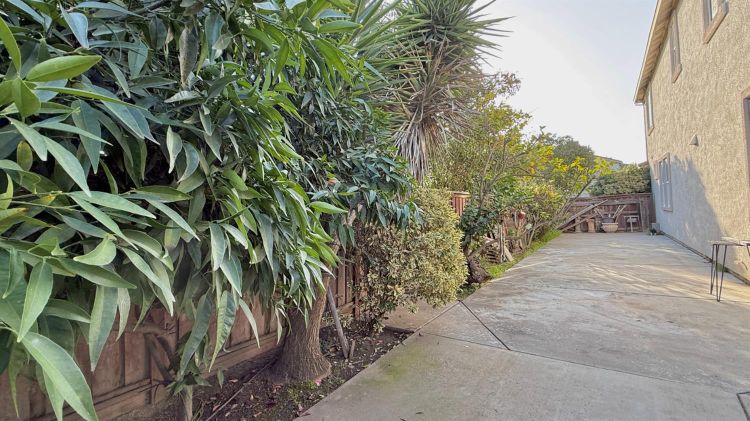 16206 Sand Bar Way Lathrop, CA 95330 - Photo 32 of 32 a view of a yard with plants and trees