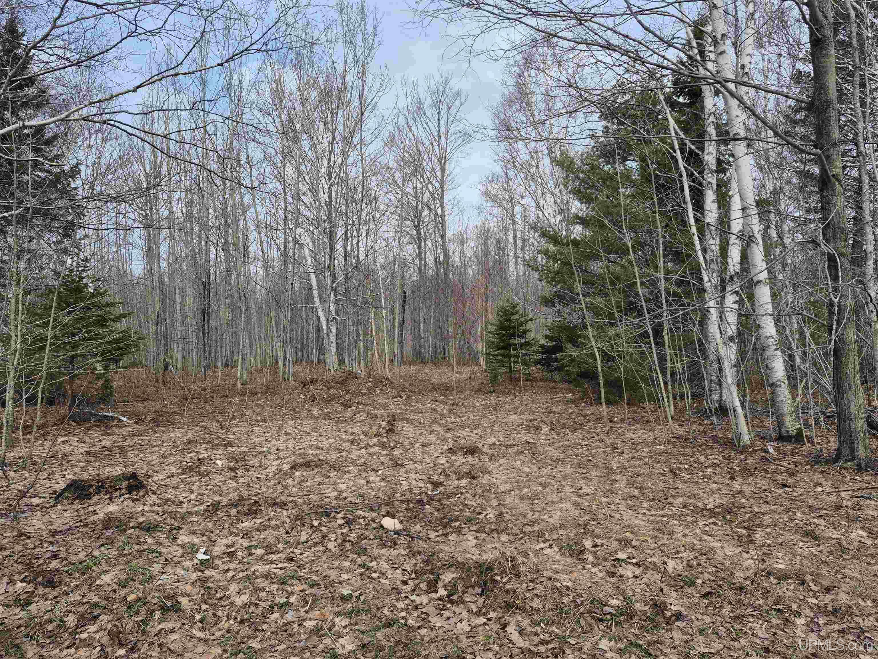 3754 Quarry Road Gulliver, MI 49840 - Photo 40 of 77