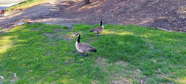 $8,995 | 1295 Harold Avenue, Simi Valley, CA 93065