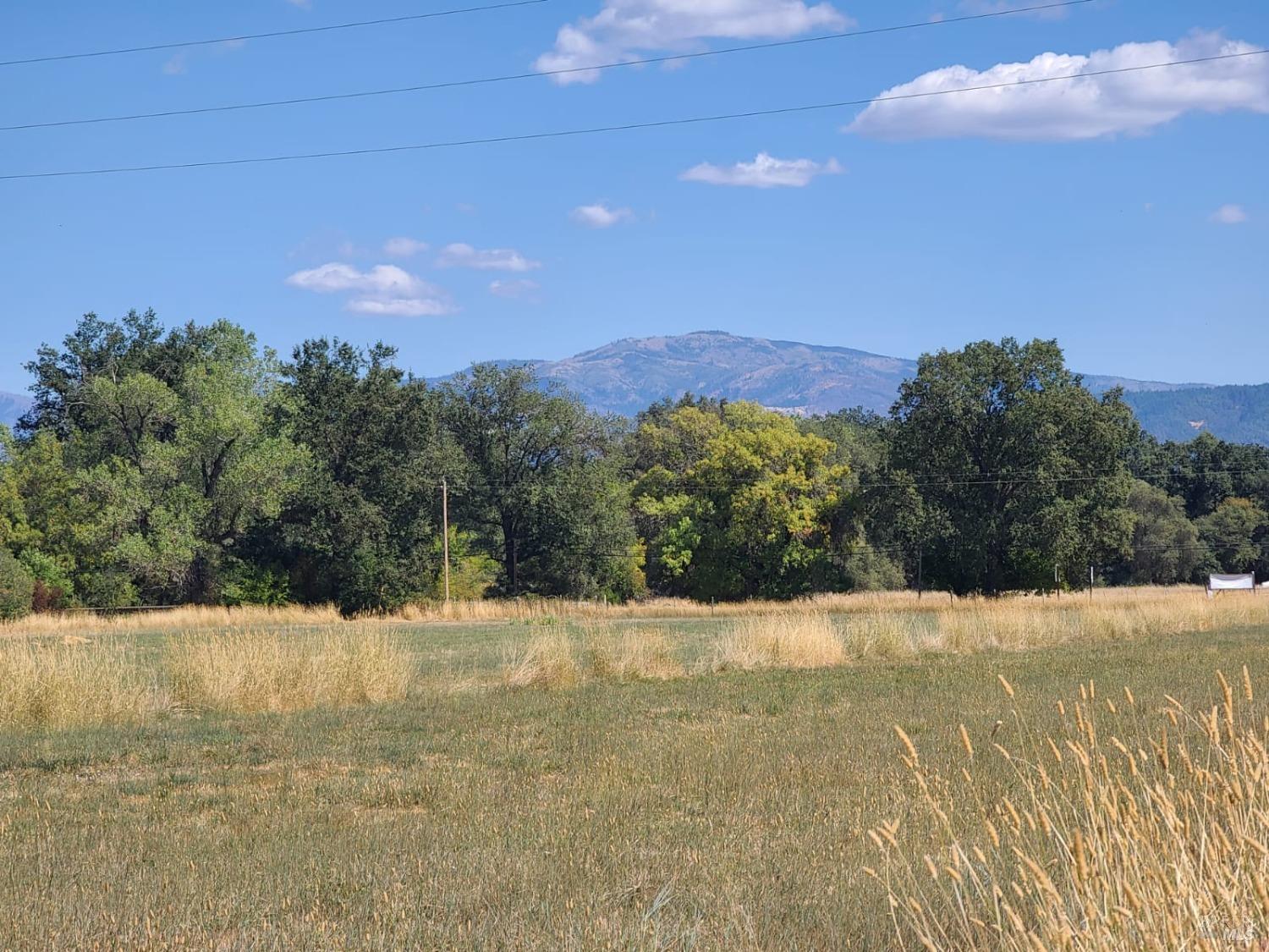 75500 Covelo Road Covelo, CA 95428 - Photo 50 of 54